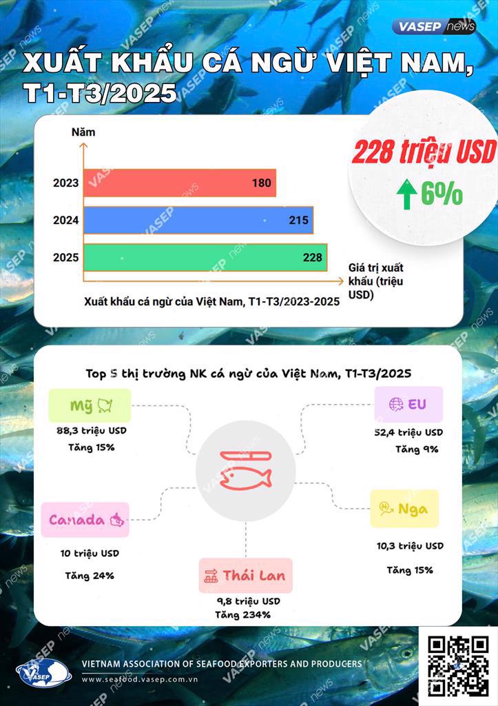 Infographic: Xuất khẩu Cá ngừ Việt Nam 3 tháng đầu năm 2025